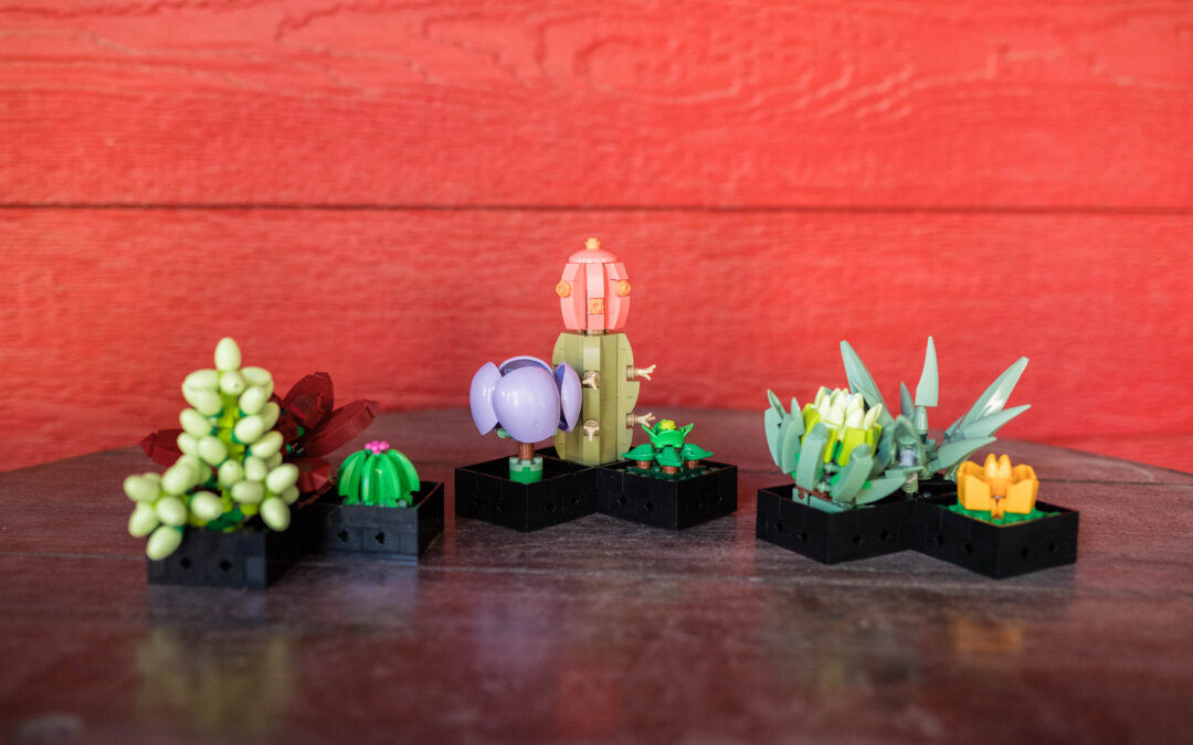 Succulents built out of lego