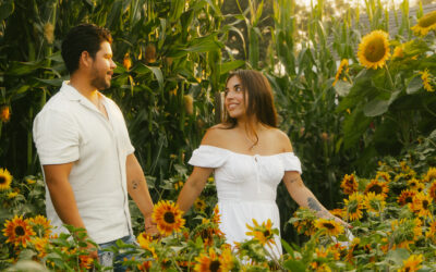 sunflower sip n’ stroll: august 21st or 28th
